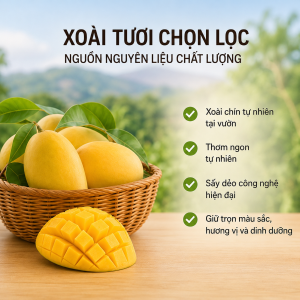 Xoài Sấy Dẻo DLFresh Đặc Sản Đà Lạt Túi 500g